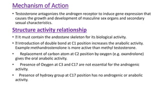Mechanism of Action
• Testosterone antagonizes the androgen receptor to induce gene expression that
causes the growth and development of masculine sex organs and secondary
sexual characteristics.
Structure activity relationship
• It must contain the andostane skeleton for its biological activity.
• Introduction of double bond at C1 position increases the anabolic activity.
Example:methandrostenolone is more active than methyl testosterone.
• Replacement of carbon atom at C2 position by oxygen (e.g. oxandrolone)
gives the oral anabolic activity.
• Presence of Oxygen at C3 and C17 are not essential for the androgenic
activity.
• Presence of hydroxy group at C17 position has no androgenic or anabolic
activity.
 