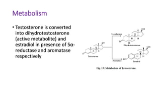 Metabolism
• Testosterone is converted
into dihydrotestosterone
(active metabolite) and
estradiol in presence of 5α-
reductase and aromatase
respectively
 