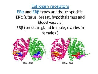 Sex hormones | PPTX