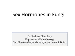 Sex Hormones in Fungi
Dr. Rachana Choudhary
Department of Microbiology
Shri Shankaracharya Mahavidyalaya Junwani, Bhilai
 