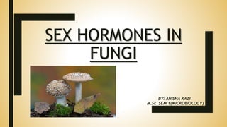 SEX HORMONES IN
FUNGI
BY: ANISHA KAZI
M.Sc SEM 1(MICROBIOLOGY)
 