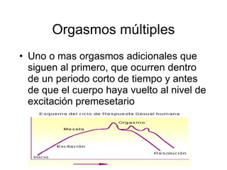 Orgasmos múltiples <ul><li>Uno o mas orgasmos adicionales que siguen al primero, que ocurren dentro de un periodo corto de...