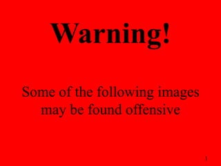 Warning!
Some of the following images
  may be found offensive


                               1
 