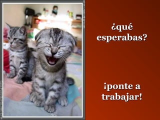¿qquuéé 
eessppeerraabbaass?? 
¡¡ppoonnttee aa 
ttrraabbaajjaarr!! 
