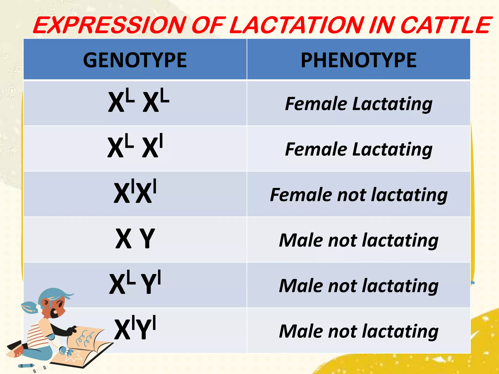 GENOTYPE PHENOTYPE
XL XL Female Lactating
XL XI Female Lactating
XlXl Female not lactating
X Y Male not lactating
XL Yl Male not lactating
XlYl Male not lactating
EXPRESSION OF LACTATION IN CATTLE