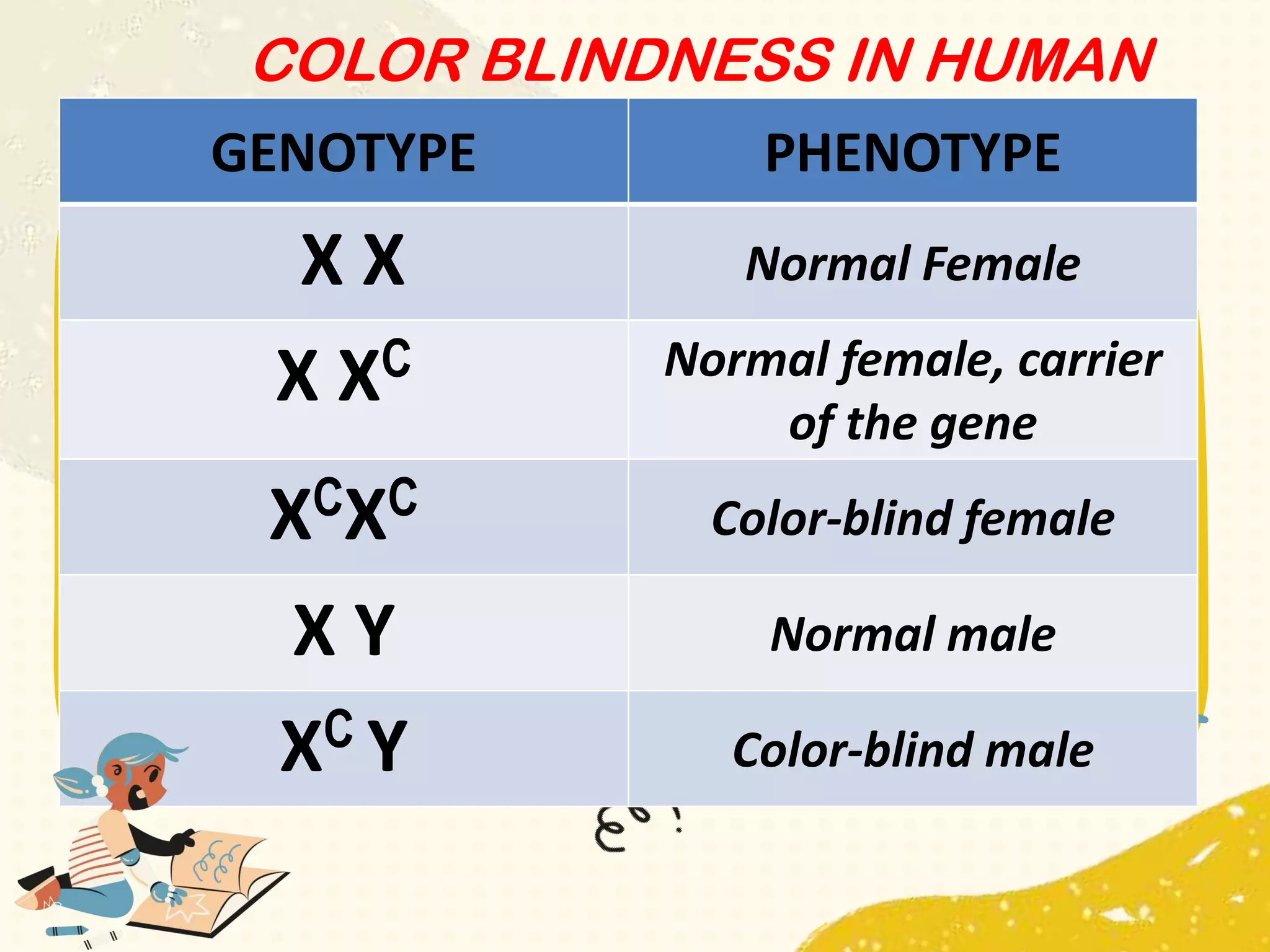 GENOTYPE PHENOTYPE
X X Normal Female
X XC Normal female, carrier
of the gene
XCXC Color-blind female
X Y Normal male
XC Y Color-blind male
COLOR BLINDNESS IN HUMAN