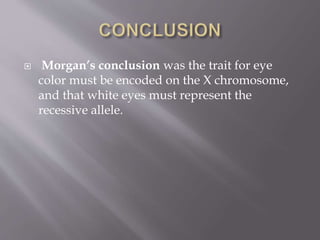  Morgan’s conclusion was the trait for eye
color must be encoded on the X chromosome,
and that white eyes must represent the
recessive allele.
 