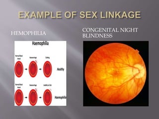HEMOPHILIA
CONGENITAL NIGHT
BLINDNESS
 