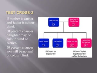 TEST CROSS-2
If mother is carrier
and father is colour
blind.
50 percent chances
daughter may be
colour blind or
carrier.
50 percent chances
son will be normal
or colour blind.
 