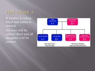 TEST CROSS -3
If mother is colour
blind and father is
normal.
All sons will be
colour blind and all
daughter will be
carriers.
 