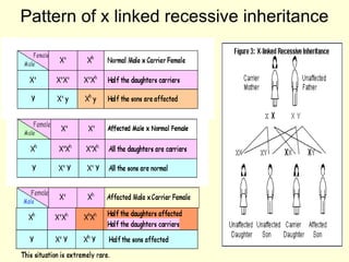 Pattern of x linked recessive inheritance
 