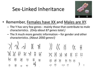 Sex linked inheritance pedigree 2016.ppt
