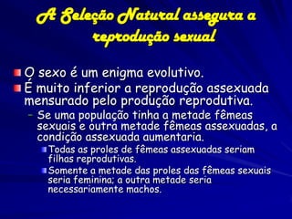 A Seleção Natural assegura a
       reprodução sexual
O sexo é um enigma evolutivo.
É muito inferior a reprodução assexuad...