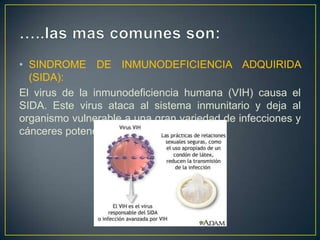• SINDROME DE INMUNODEFICIENCIA ADQUIRIDA
  (SIDA):
El virus de la inmunodeficiencia humana (VIH) causa el
SIDA. Este virus ataca al sistema inmunitario y deja al
organismo vulnerable a una gran variedad de infecciones y
cánceres potencialmente mortales.
 
