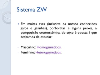 Sistema ZW 
Em muitas aves (inclusive os nossos conhecidos galos e galinhas), borboletas e alguns peixes, a composição cromossômica do sexo é oposta à que acabamos de estudar: 
-Masculino: Homogaméticos. 
-Feminino: Heterogaméticos.  