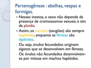 Partenogênese : abelhas, vespas e formigas. 
Nesses insetos, o sexo não depende da presença de cromossomos sexuais, e sim da ploidia. 
Assim, os machos (zangões) são sempre haplóides, enquanto as fêmeas são diplóides. 
-Ou seja, óvulos fecundados originam zigotos que se desenvolvem em fêmeas. 
-Os óvulos não fecundados desenvolvem- se por mitose em machos haplóides.  