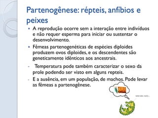 Partenogênese: répteis, anfíbios e peixes 
A reprodução ocorre sem a interação entre indivíduos e não requer esperma para iniciar ou sustentar o desenvolvimento. 
Fêmeas partenogenéticas de espécies diploides produzem ovos diploides, e os descendentes são geneticamente idênticos aos ancestrais. 
- Temperatura pode também caracterizar o sexo da prole podendo ser visto em alguns repteis. 
-E a ausência, em um população, de machos. Pode levar as fêmeas a partenogênese.  