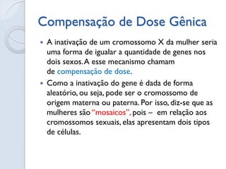 Compensação de Dose Gênica 
A inativação de um cromossomo X da mulher seria uma forma de igualar a quantidade de genes nos dois sexos. A esse mecanismo chamam de compensação de dose. 
Como a inativação do gene é dada de forma aleatório, ou seja, pode ser o cromossomo de origem materna ou paterna. Por isso, diz-se que as mulheres são “mosaicos”, pois – em relação aos cromossomos sexuais, elas apresentam dois tipos de células.  