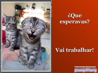 ¿ Que esperavas? Vai trabalhar ! 