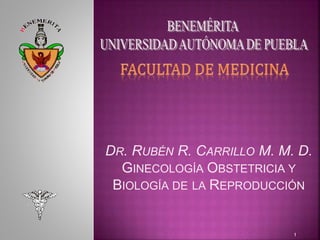 DR. RUBÉN R. CARRILLO M. M. D.
GINECOLOGÍA OBSTETRICIA Y
BIOLOGÍA DE LA REPRODUCCIÓN
1
 