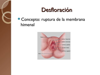 Sexologia | PPT