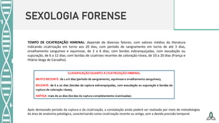 SEXOLOGIA FORENSE
TEMPO DE CICATRIZAÇÃO HIMENAL: depende de diversos fatores, com valores médios da literatura
indicando cicatrização em torno aos 20 dias, com período de sangramento em torno de até 3 dias,
orvalhamento sanguíneo e equimose, de 2 a 6 dias; com bordas esbranquiçadas, com exsudação ou
supuração, de 6 a 12 dias; com bordas de cicatrizes recentes de coloração rósea, de 10 a 20 dias (França e
Hilário Veiga de Carvalho).
Após demasiado período da ruptura e da cicatrização, a constatação ainda poderá ser realizada por meio de metodologias
da área de anatomia patológica, caracterizando como cicatrização recente ou antiga, sem a devida precisão temporal.
 