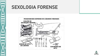 SEXOLOGIA FORENSE
 