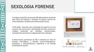 SEXOLOGIA FORENSE
O antígeno específico da próstata PSA (glicoproteína produzida
pelo tecido da próstata e secretado no plasma seminal em
níveis elevados) é utilizado como biomarcador forense.
A PSA (p30) - marcador para constatação de esperma em uma
amostra, até mesmo para a identificação de fluido seminal em
vestígios produzidos por indivíduos vasectomisados,
azoospérmicos (ausência) ou oligozoospérmicos (redução).
A determinação quantitativa da PSA é realizada por meio de
métodos imunológicos, e métodos imunocromatográficos,
qualitativos e semiquantitativos, específicos e de elevada
sensibilidade (4 ng/mL).
 