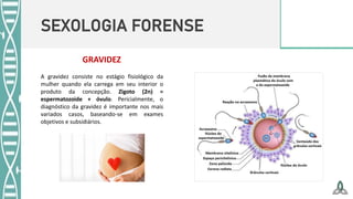 SEXOLOGIA FORENSE
A gravidez consiste no estágio fisiológico da
mulher quando ela carrega em seu interior o
produto da concepção. Zigoto (2n) =
espermatozoide + óvulo. Pericialmente, o
diagnóstico da gravidez é importante nos mais
variados casos, baseando-se em exames
objetivos e subsidiários.
GRAVIDEZ
 