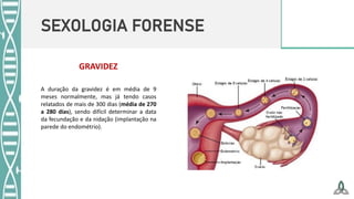 SEXOLOGIA FORENSE
GRAVIDEZ
A duração da gravidez é em média de 9
meses normalmente, mas já tendo casos
relatados de mais de 300 dias (média de 270
a 280 dias), sendo difícil determinar a data
da fecundação e da nidação (implantação na
parede do endométrio).
 