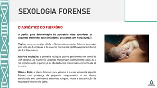 SEXOLOGIA FORENSE
DIAGNÓSTICO DO PUERPÉRIO
A perícia para determinação do puerpério deve considerar os
seguintes elementos caracterizadores, de acordo com França (2017):
Vagina: torna-se ampla, pálida e flácida após o parto. Retorno das rugas
por volta de 4 semanas e do aspecto normal do epitélio vaginal em torno
de 8 a 10 semanas.
Ovário e ovulação: a primeira ovulação ocorre geralmente em torno da
10ª semana. As mulheres lactantes menstruam normalmente após 30 a
36 semanas após o parto; já as não lactantes menstruam em torno da 12
semana.
Útero e Colo: o útero diminui o seu volume e o colo apresenta aspecto
frouxo, com presença de pequenos sangramentos e de lóquio,
consistindo em corrimento contendo sangue, muco e descamação de
tecidos do interior do útero.
 