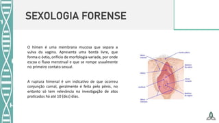SEXOLOGIA FORENSE
O hímen é uma membrana mucosa que separa a
vulva da vagina. Apresenta uma borda livre, que
forma o óstio, orifício de morfologia variada, por onde
escoa o fluxo menstrual e que se rompe usualmente
no primeiro contato sexual.
A ruptura himenal é um indicativo de que ocorreu
conjunção carnal, geralmente é feita pelo pênis, no
entanto só tem relevância na investigação de atos
praticados há até 10 (dez) dias.
 