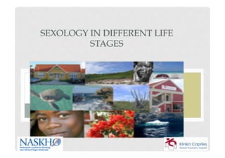 SEXOLOGY IN DIFFERENT LIFE
         STAGES




           JACQUES J. CAPELLO
G Y N E C O L O G Y - M E N O PA U S E - S E X U A L
                   MEDICINE
 