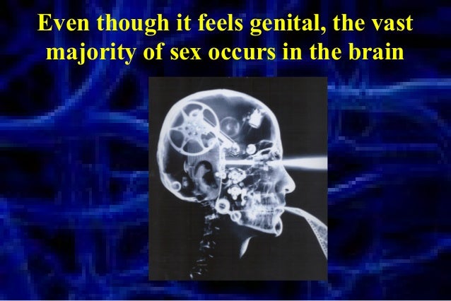 Sex On The Brain Daniel Amen 19