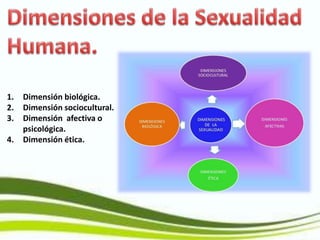 1. Dimensión biológica.
2. Dimensión sociocultural.
3. Dimensión afectiva o
psicológica.
4. Dimensión ética.
 