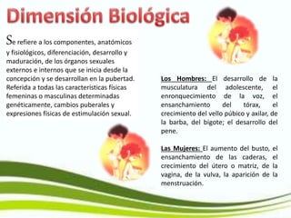 Se refiere a los componentes, anatómicos
y fisiológicos, diferenciación, desarrollo y
maduración, de los órganos sexuales
externos e internos que se inicia desde la
concepción y se desarrollan en la pubertad.
Referida a todas las características físicas
femeninas o masculinas determinadas
genéticamente, cambios puberales y
expresiones físicas de estimulación sexual.
Los Hombres: El desarrollo de la
musculatura del adolescente, el
enronquecimiento de la voz, el
ensanchamiento del tórax, el
crecimiento del vello púbico y axilar, de
la barba, del bigote; el desarrollo del
pene.
Las Mujeres: El aumento del busto, el
ensanchamiento de las caderas, el
crecimiento del útero o matriz, de la
vagina, de la vulva, la aparición de la
menstruación.
 