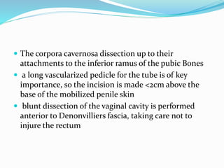  The corpora cavernosa dissection up to their
attachments to the inferior ramus of the pubic Bones
 a long vascularized pedicle for the tube is of key
importance, so the incision is made <2cm above the
base of the mobilized penile skin
 blunt dissection of the vaginal cavity is performed
anterior to Denonvilliers fascia, taking care not to
injure the rectum
 