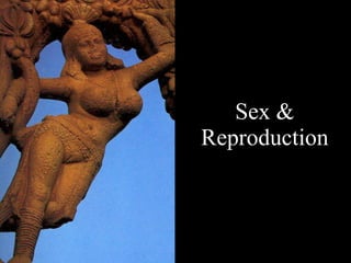 Sex & Reproduction 