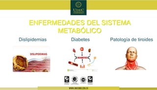 ENFERMEDADES DEL SISTEMA
METABÓLICO
DiabetesDislipidemias Patología de tiroides
 