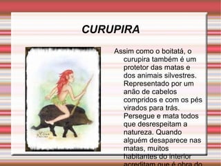 CURUPIRA Assim como o boitatá, o curupira também é um protetor das matas e dos animais silvestres. Representado por um anão de cabelos compridos e com os pés virados para trás. Persegue e mata todos que desrespeitam a natureza. Quando alguém desaparece nas matas, muitos habitantes do interior acreditam que é obra do curupira.  