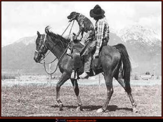 trajano@nicnet.com.br
 