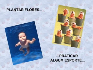 PLANTAR FLORES...




                      ...PRATICAR
                    ALGUM ESPORTE...
 