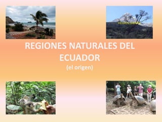 REGIONES NATURALES DEL
ECUADOR
(el origen)
 