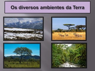 Sexto ano cap 6 os diferentes ambientes da terra | PPTX
