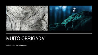 MUITO OBRIGADA!
Professora Paula Meyer
 