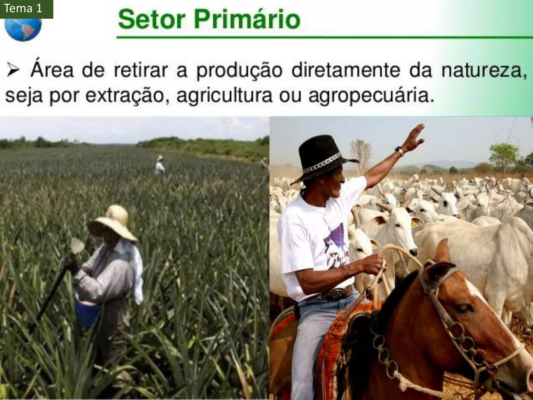 Atividades Econômicas | PPT