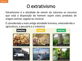 O extrativismo
Extrativismo é a atividade de extrair da natureza os recursos
que está à disposição do homem sejam estes produtos de
origem animal, vegetal ou mineral.
É considerada a mais antiga atividade humana, antecedendo a
agricultura, a pecuária e a indústria.
Tema 2
 