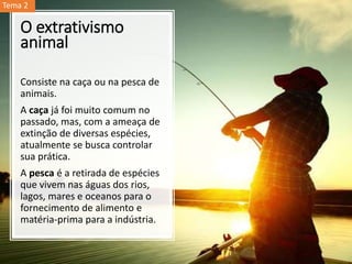 O extrativismo
animal
Consiste na caça ou na pesca de
animais.
A caça já foi muito comum no
passado, mas, com a ameaça de
extinção de diversas espécies,
atualmente se busca controlar
sua prática.
A pesca é a retirada de espécies
que vivem nas águas dos rios,
lagos, mares e oceanos para o
fornecimento de alimento e
matéria-prima para a indústria.
Tema 2
 