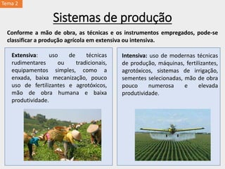 Sistemas de produção
Conforme a mão de obra, as técnicas e os instrumentos empregados, pode-se
classificar a produção agrícola em extensiva ou intensiva.
Extensiva: uso de técnicas
rudimentares ou tradicionais,
equipamentos simples, como a
enxada, baixa mecanização, pouco
uso de fertilizantes e agrotóxicos,
mão de obra humana e baixa
produtividade.
Intensiva: uso de modernas técnicas
de produção, máquinas, fertilizantes,
agrotóxicos, sistemas de irrigação,
sementes selecionadas, mão de obra
pouco numerosa e elevada
produtividade.
Tema 2
 