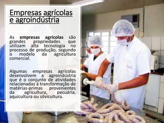 Empresas agrícolas
e agroindústria
As empresas agrícolas são
grandes propriedades que
utilizam alta tecnologia no
processo de produção, segundo
o modelo da agricultura
comercial.
Algumas empresas agrícolas
desenvolvem a agroindústria
que é o conjunto de atividades
relacionadas à transformação de
matérias-primas provenientes
da agricultura, pecuária,
aquicultura ou silvicultura.
 